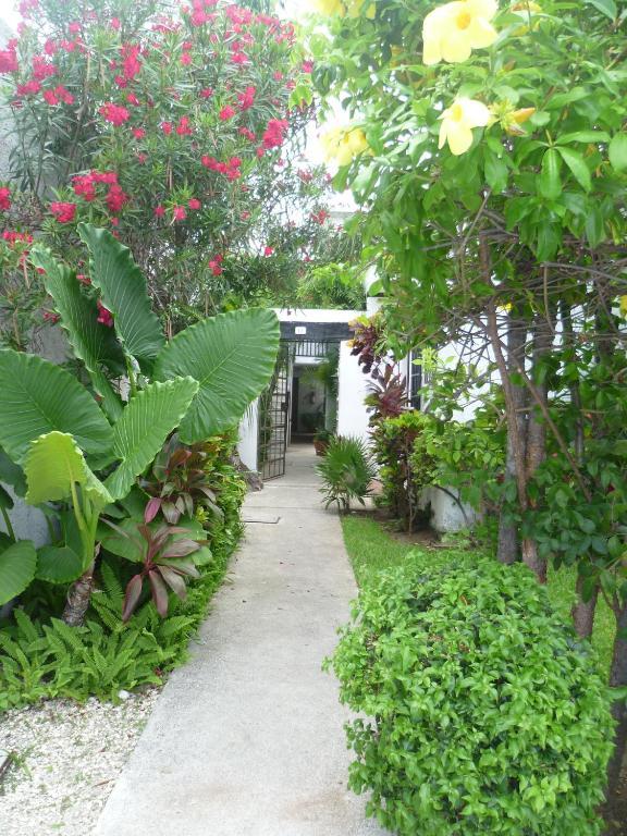 Hostal Hainaカンクン エクステリア 写真